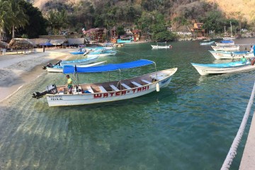 Panga Boat parked near the beach